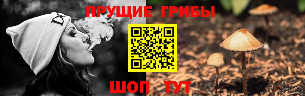 Ессентуки  Галлюциногенные грибы Psilocybe  Галлюциногенные грибы Cubensis  наркота  Вход с VPN 